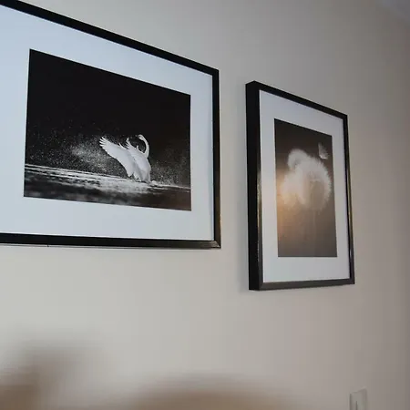 Хостел Botanik