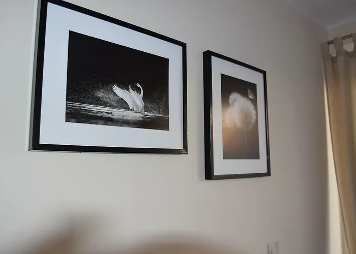 Auberge de jeunesse Botanik